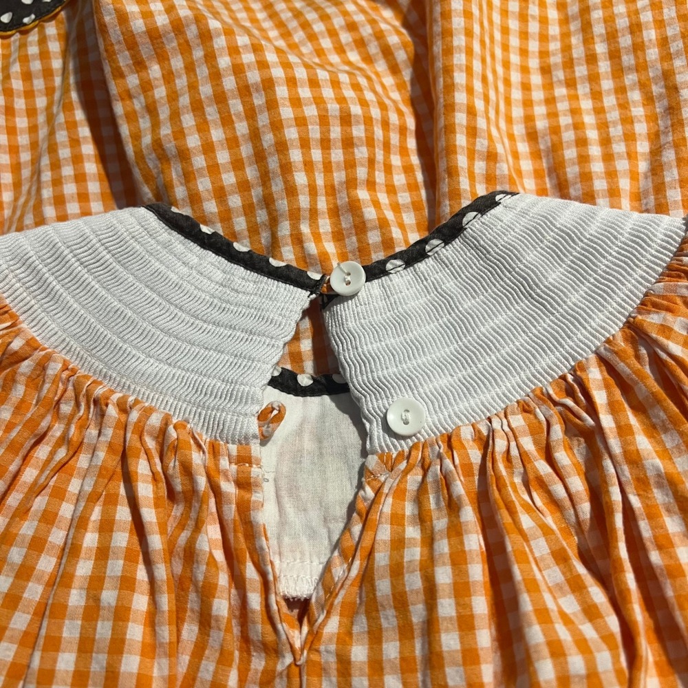 Lil Cactus Girls 4T Thanksgiving Turkey Smocked Gingham Dress Orange Brown - Picture 5 of 7